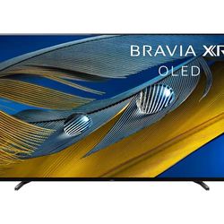 55” TV With Wall Mount 