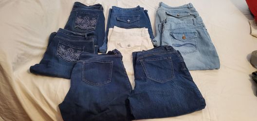 Size 16 Gloria Vanderbilt Amanda women's Capri