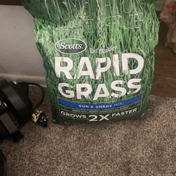 Grass Seeds Rapid Grass 