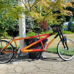 Cannondale MT 4000 Tandem bicycle