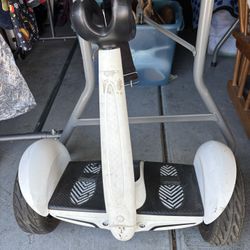 Segway Ninebot S self balancing electric scooter