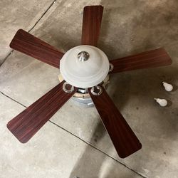 Ceiling Fan With Light