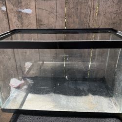 10 Gallon Kit
