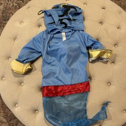 Aladdin Genie Dog Halloween Costume