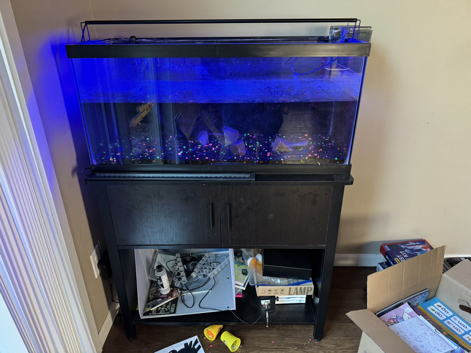Aquarium With Stand And Everything Needed