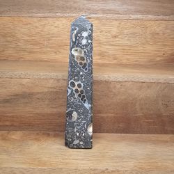 1pc Turritella Agate Obelisk Polished Stone Tower with Fossils from the Green River in Wyoming, USA ID#001