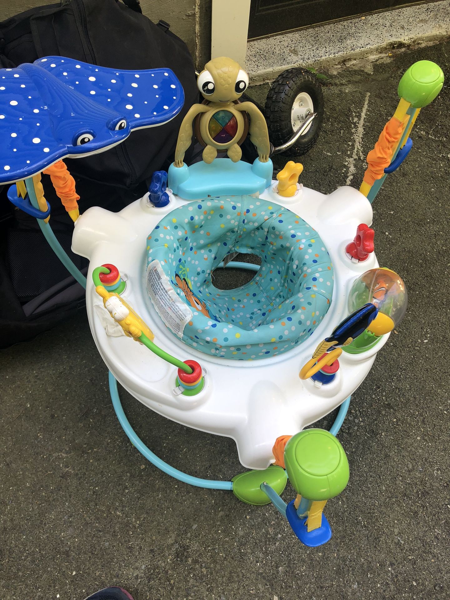 Baby Saucer