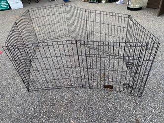 Dog Fence