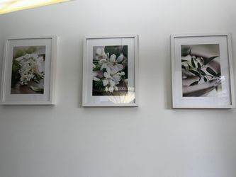3 Flowers pictures 17” X 13”