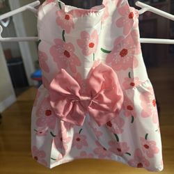 Small Dog Dress 