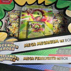 New Pokemon Ascended Heroes TCG 