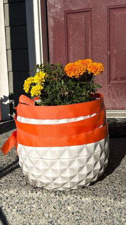 Geometric White Planter with Bright Marigolds