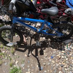 Diamondback Kids Bike