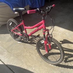 Kids Mountain Bike - 6 Speed