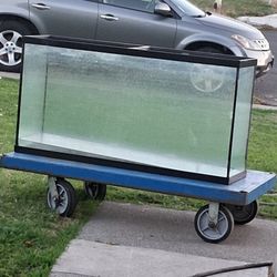 Fish Tank 64 Gallon 
