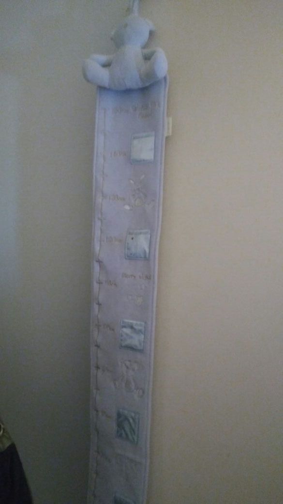 Measureing teddy bear decor