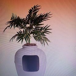 Litter Box Enclosure