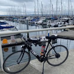 Electric Assist Bike