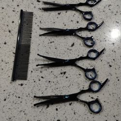 Grooming Scissors Kit