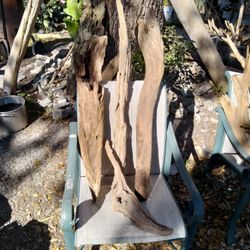 Driftwood In Riverview