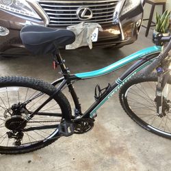 Specialized Jett