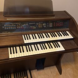 Electric Organ, Dual Level