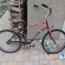 Beach Cruiser.  Free