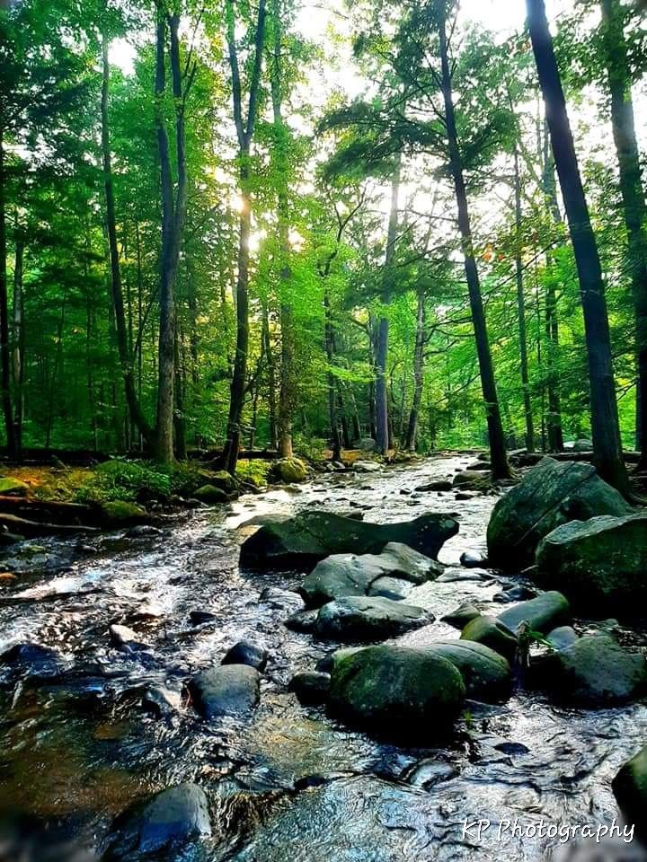 Great Smokey Mountain Digital Photography