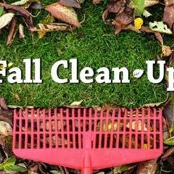 Fall Clean Up 