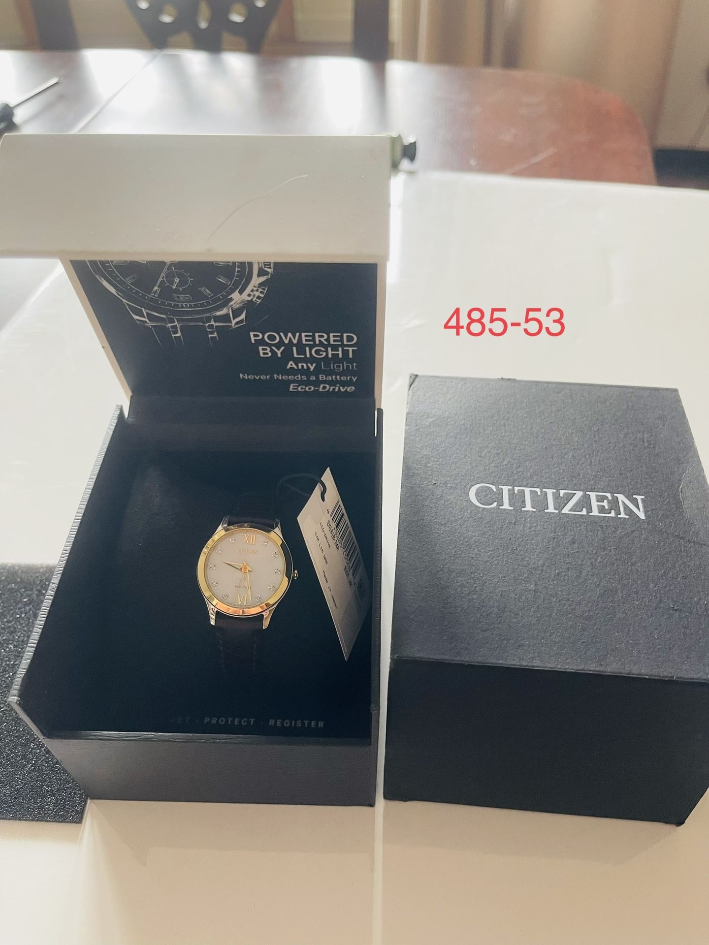 Citizen Classic Stainless Steel Ladies Eco-Drive Watch EM1018-24A