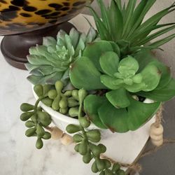 Fake Cactus Plant 