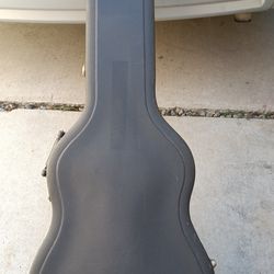 Freedom acoustic guitarr case