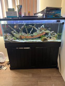55 gallon Large Aquarium Fish Tank with Black Stand
