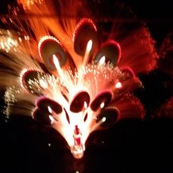 PECOCK LAMP & MUSIC BOX. VINTAGE FIBER OPTIC  LIGHTS