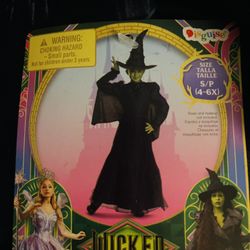 Halloween Wicked Witch Costume