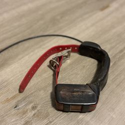 Garmin T5 GPS Dog Tracking Collar