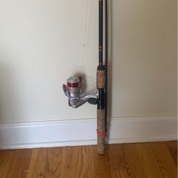 Fishing Rod Set