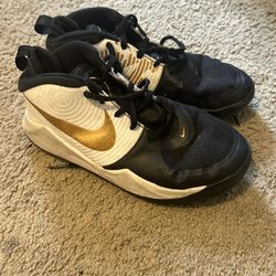 Nike Team Hustle D9 GS 