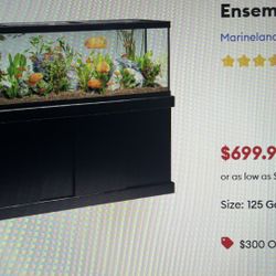 125 Gallon Fish Tank