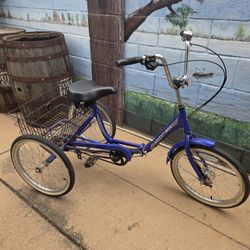 Avenger Folding Trike Bicycle 