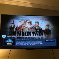 Roku Smart TV