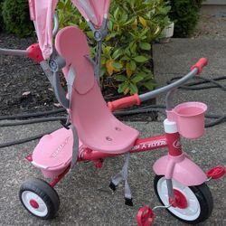 Radio Flyer 4-in-1 Stroll N Trike 