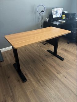 Standing Desk by Flexispot 48x24