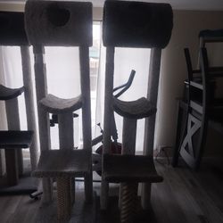 Cat Furniture 