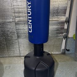 Century standing punching bag