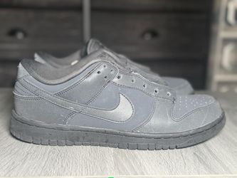 Nike Dunk Reflective