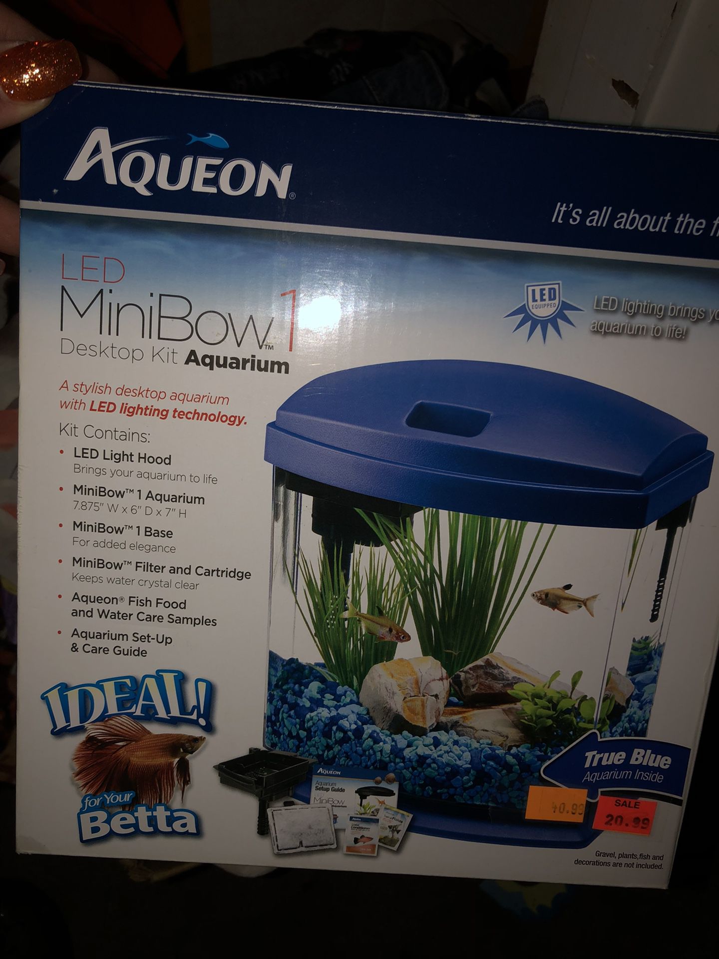Everything for a betta fish!