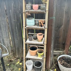 Pots and Plants