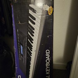Casio Wk-245 Digital Keyboard 
