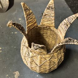 Pineapple Planter